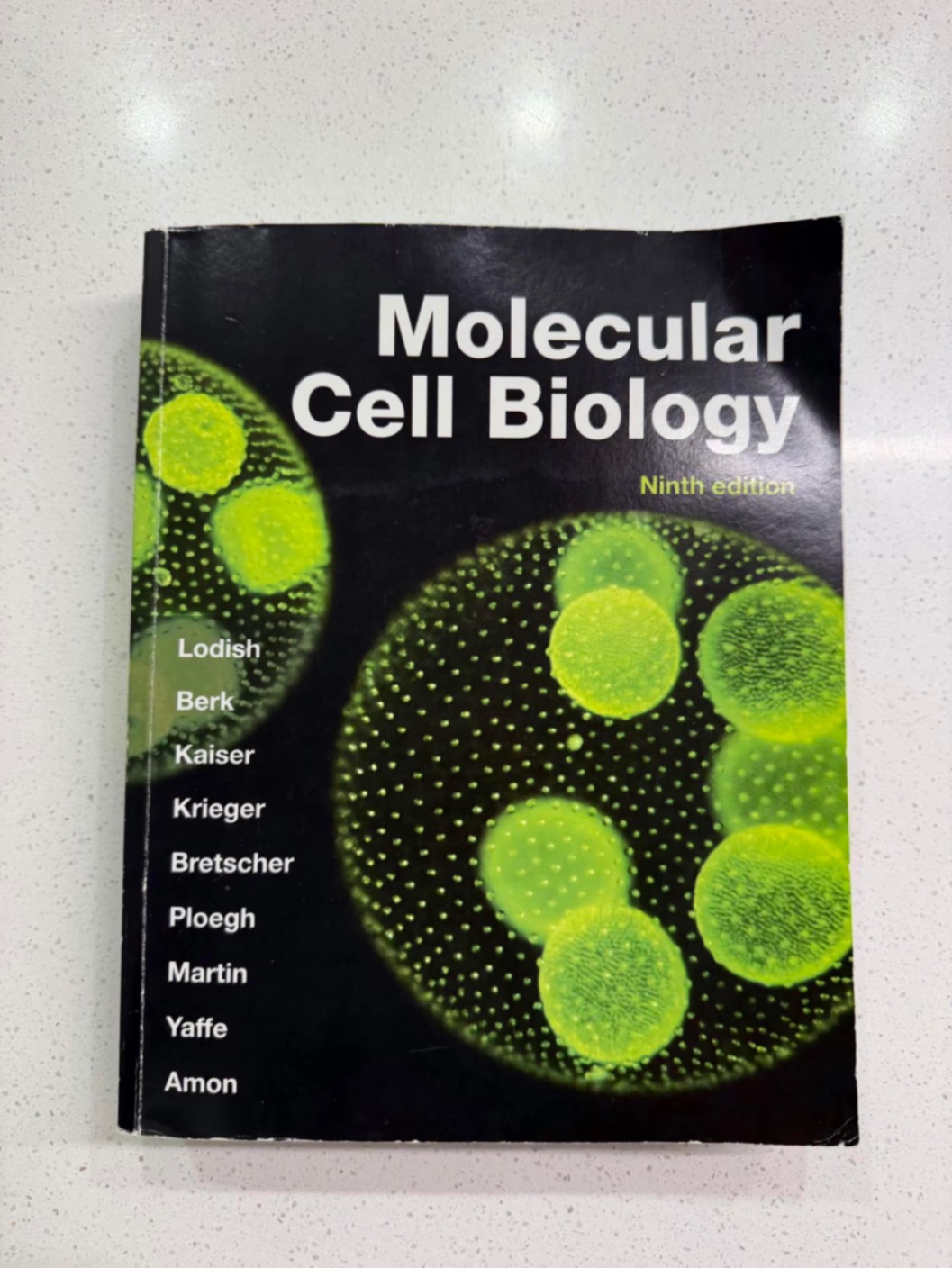 📚 Graduation Sale | Chemistry, Biochemistry & Cell Biology Textbooks